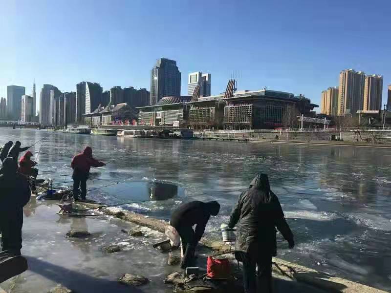 忆秦娥·冬观天津海河