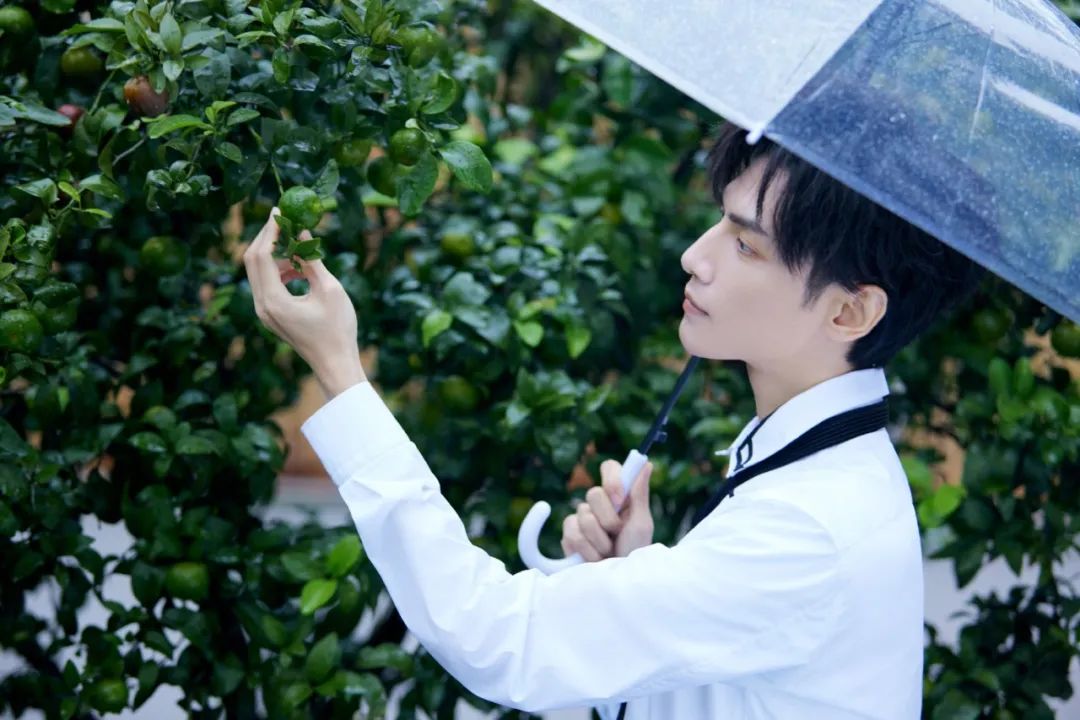 小八卦，陈钰琪，罗云熙，鞠婧祎，谭松韵