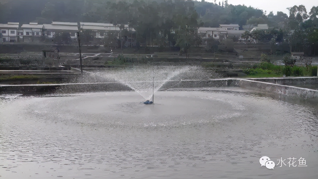 水中溶氧與有害物質的關系——溶氧不足時施用藥物大多數(shù)是無效的