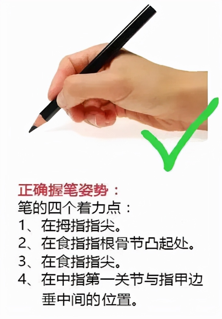 珊瑚画——避免误区，常见问题解答