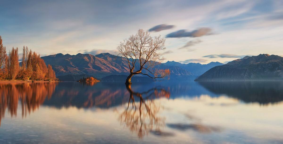 137思维模型：财富增长模型一财富就是知识