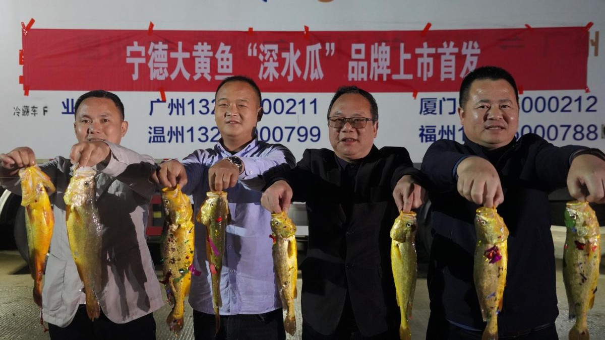 国鱼复兴丨宁德大黄鱼“深水瓜”品牌首发圆满落地