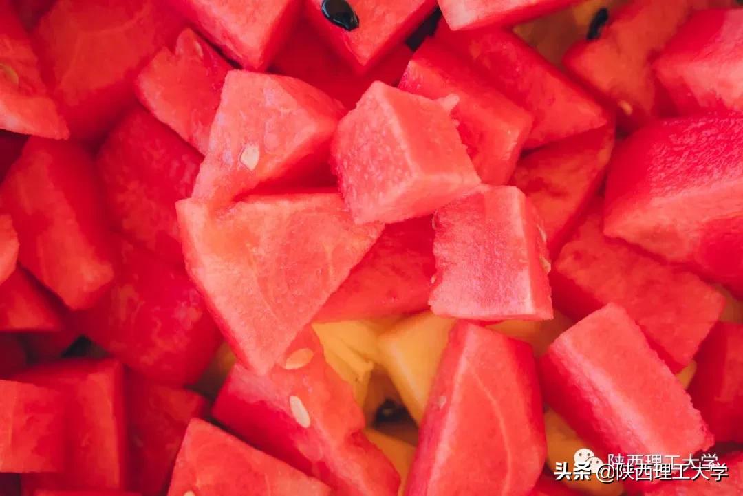 欢迎报考丨我们在陕西理工大学等你