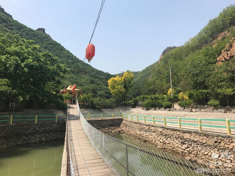 （组诗）炎炎夏日入山林