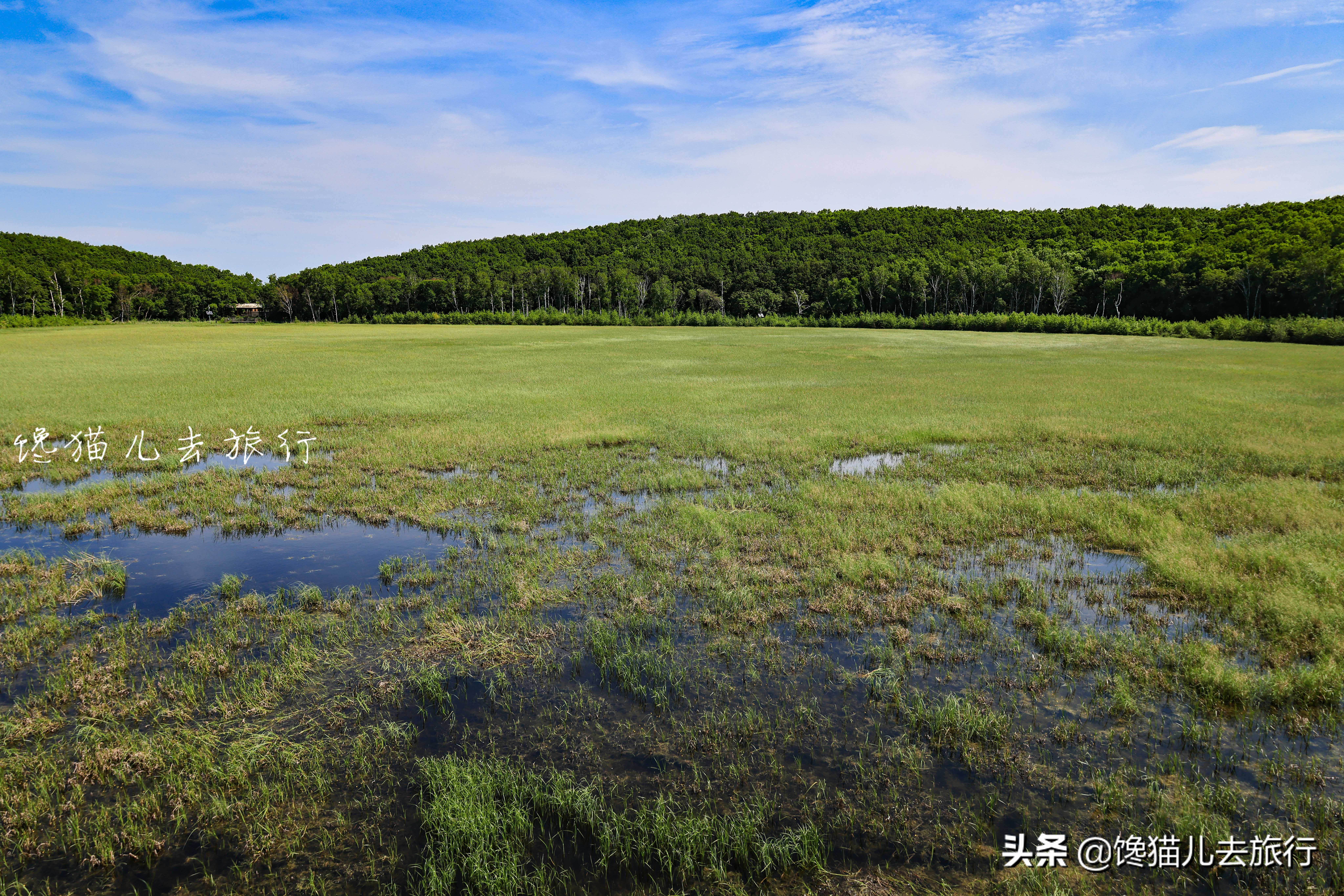 五大连池矿泉水（黑龙江五大连池景点类型丰富）