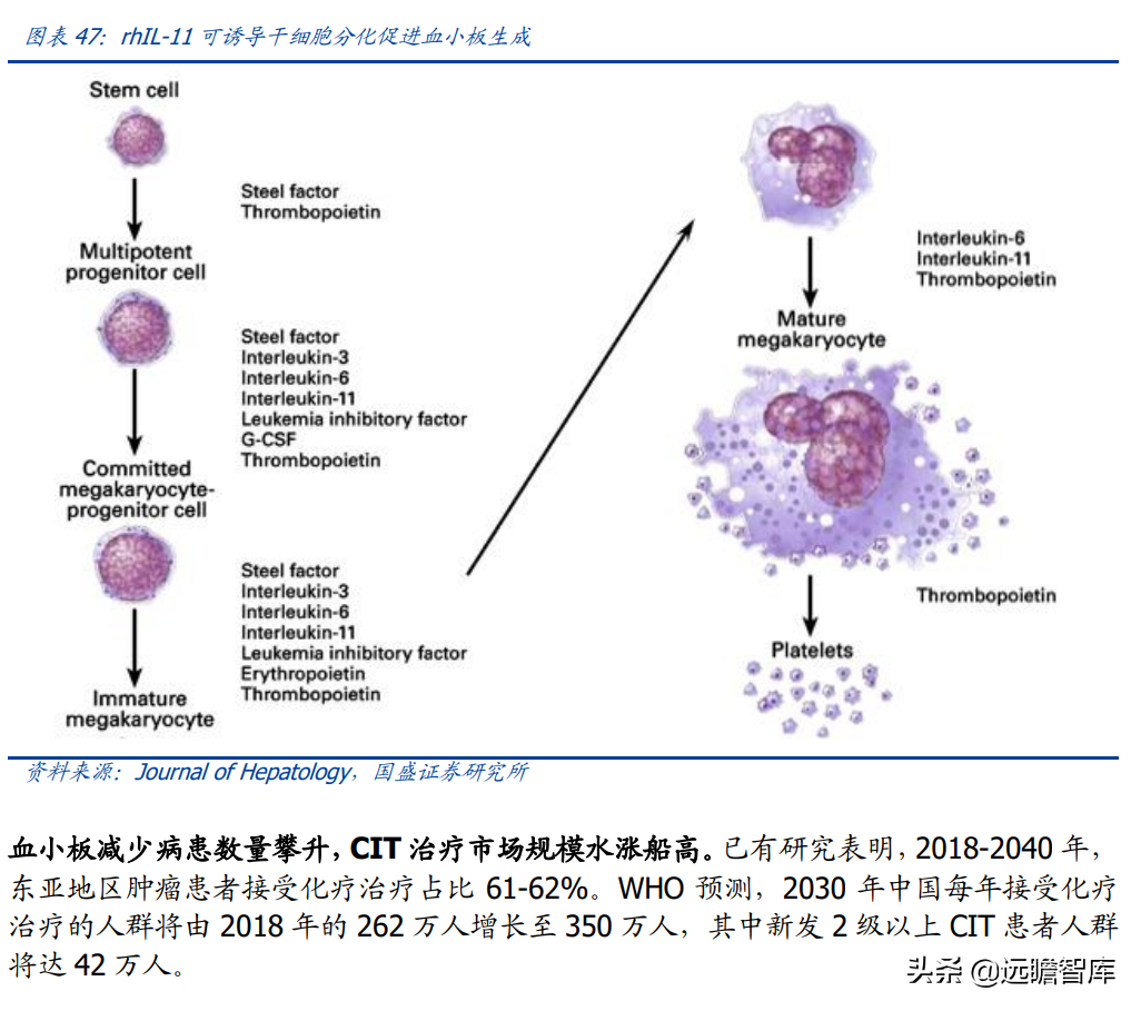 基因治疗大时代，诺思兰德：一马当先，50亿级别重磅单品价值低估