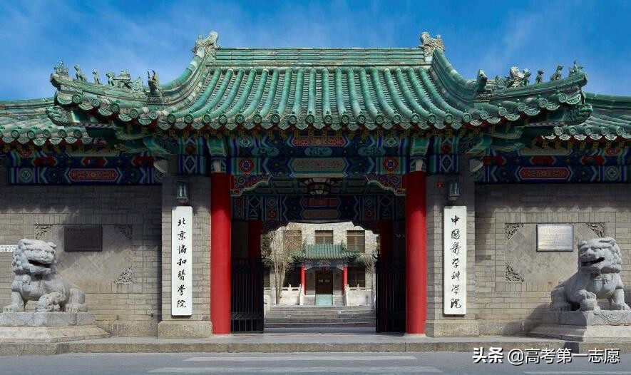 北京与上海，临床医学专业整体来看谁更强？