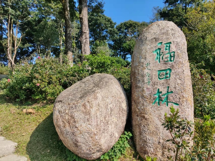 深圳梧桐山爬山攻略