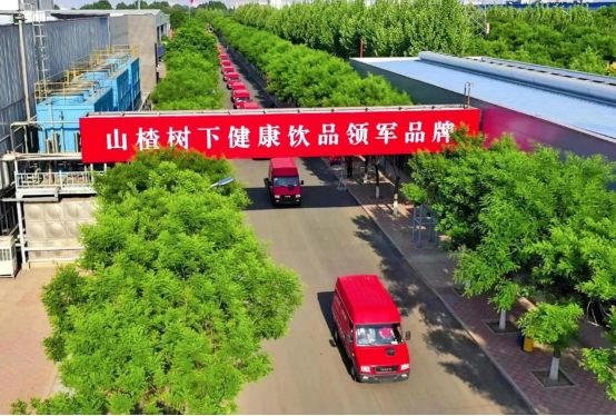 南京依维柯批量交付“红色钢铁方阵”助力冠芳打造物流系统
