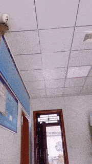 姑娘你这是有多吓人，这么多人都不要你，你过来我也不要你
