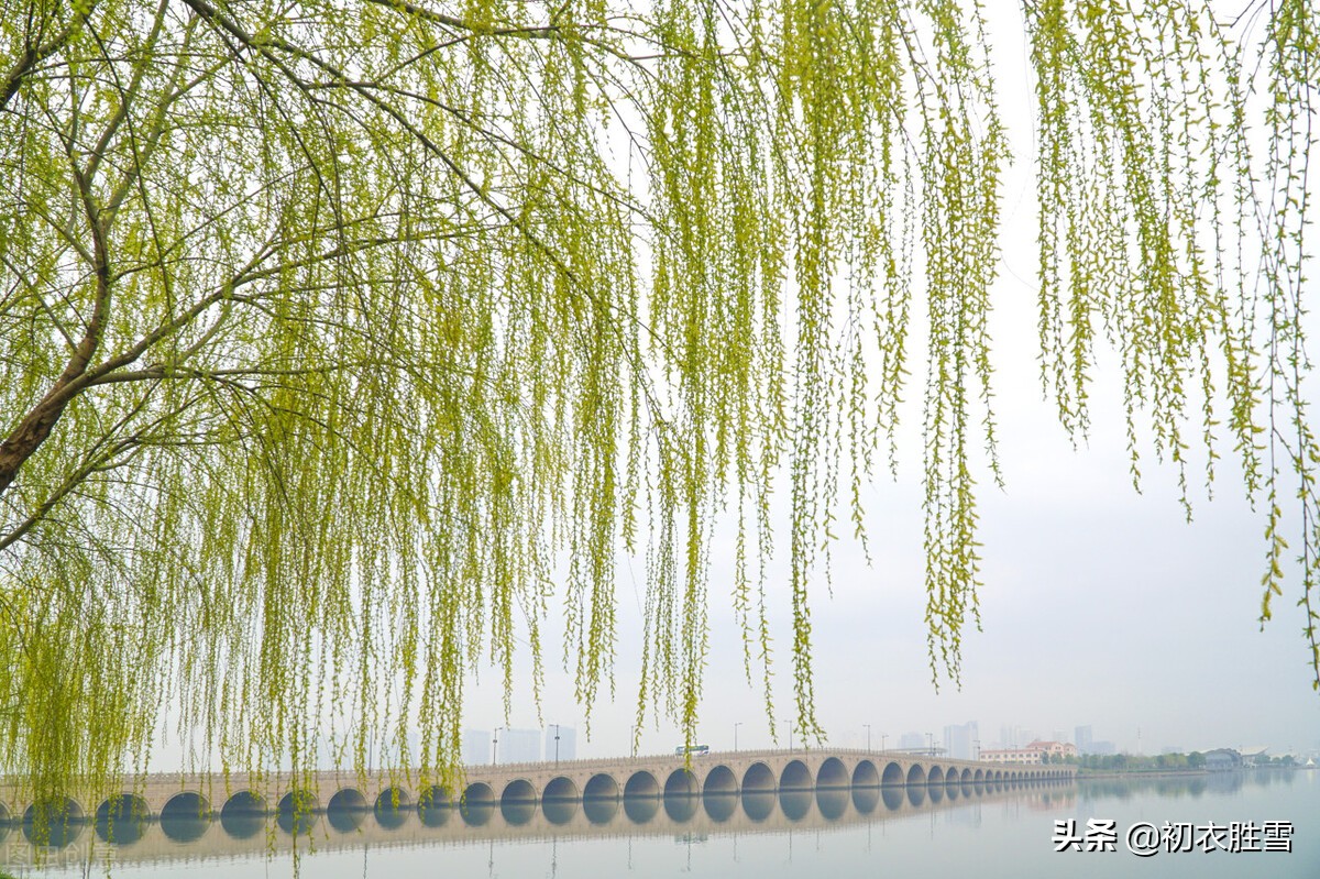 宋朝早春人日清新古诗六首：满地茸茸百草芽，又得红梅两树花