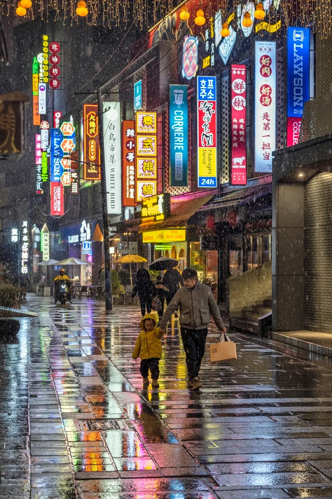 全能挂机组合 尼康Z 7Ⅱ+Z 24-120mm f/4 S试用体会