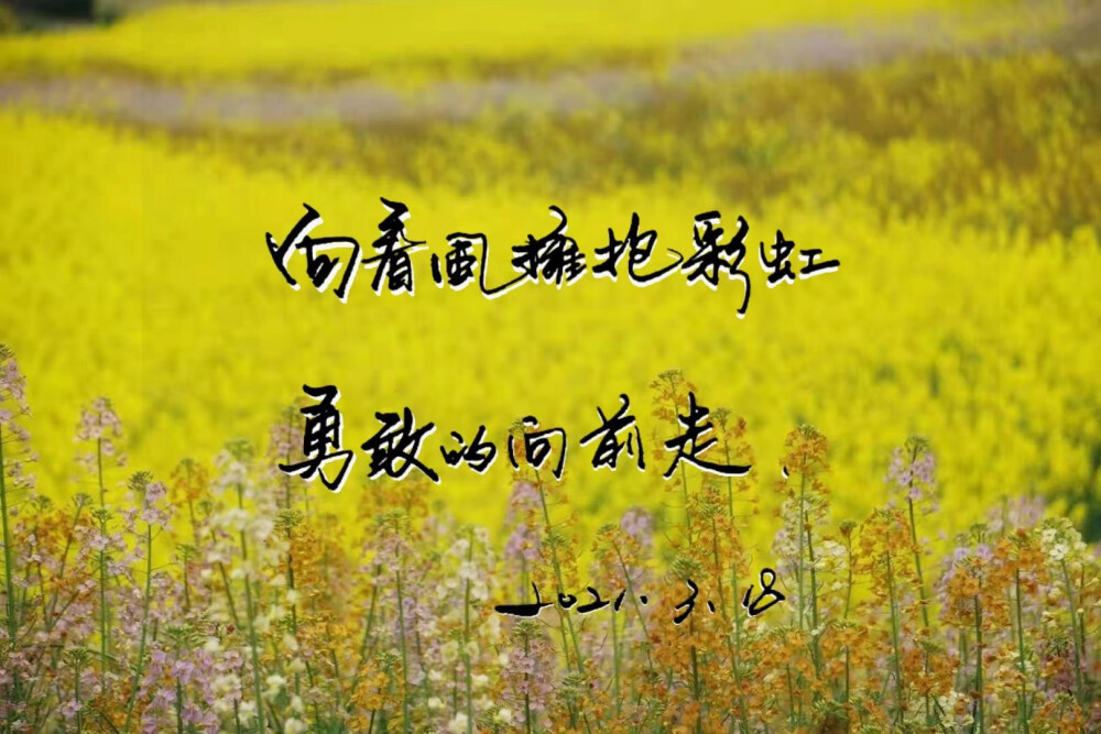 最美瞬间优美句子