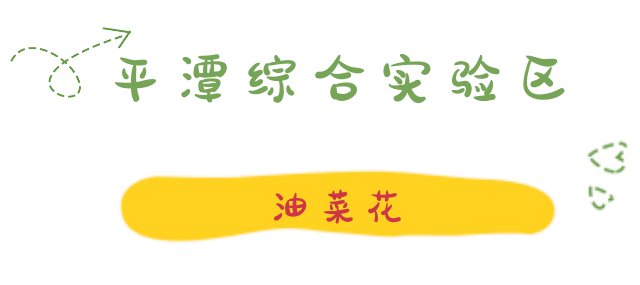 陌上花开春正美，跟着赏花地图“趣”打卡！