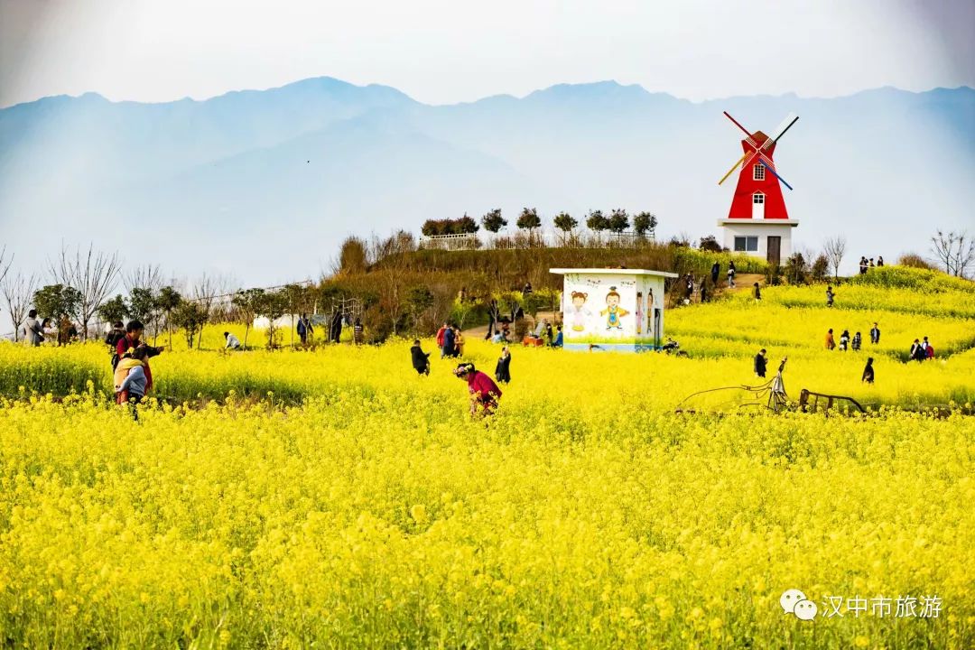 重磅！2022中国最美油菜花海汉中旅游文化节最全优惠政策来啦！