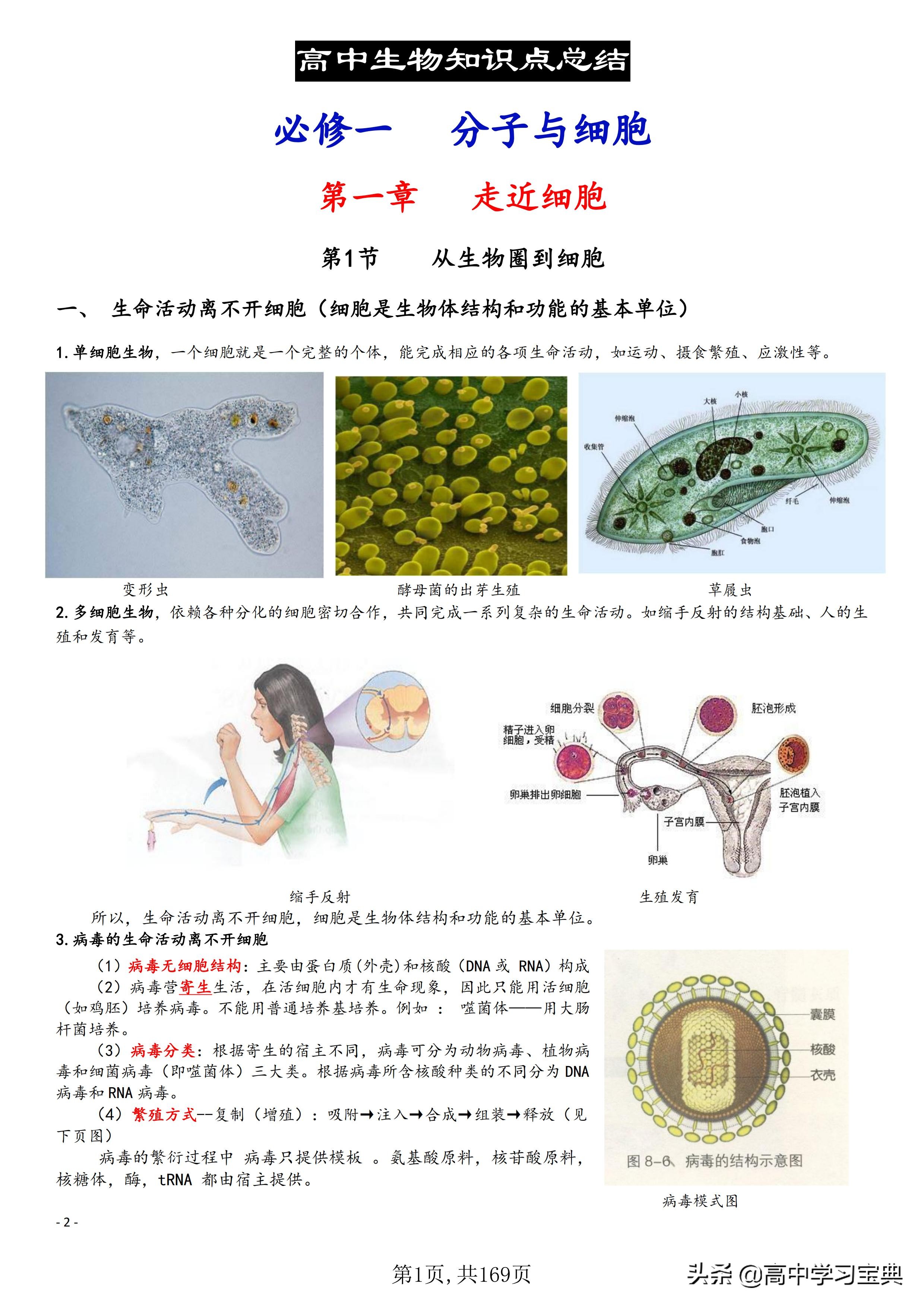 「最新版」高中生物：必修知识点汇总！高三复习可以收重点啦