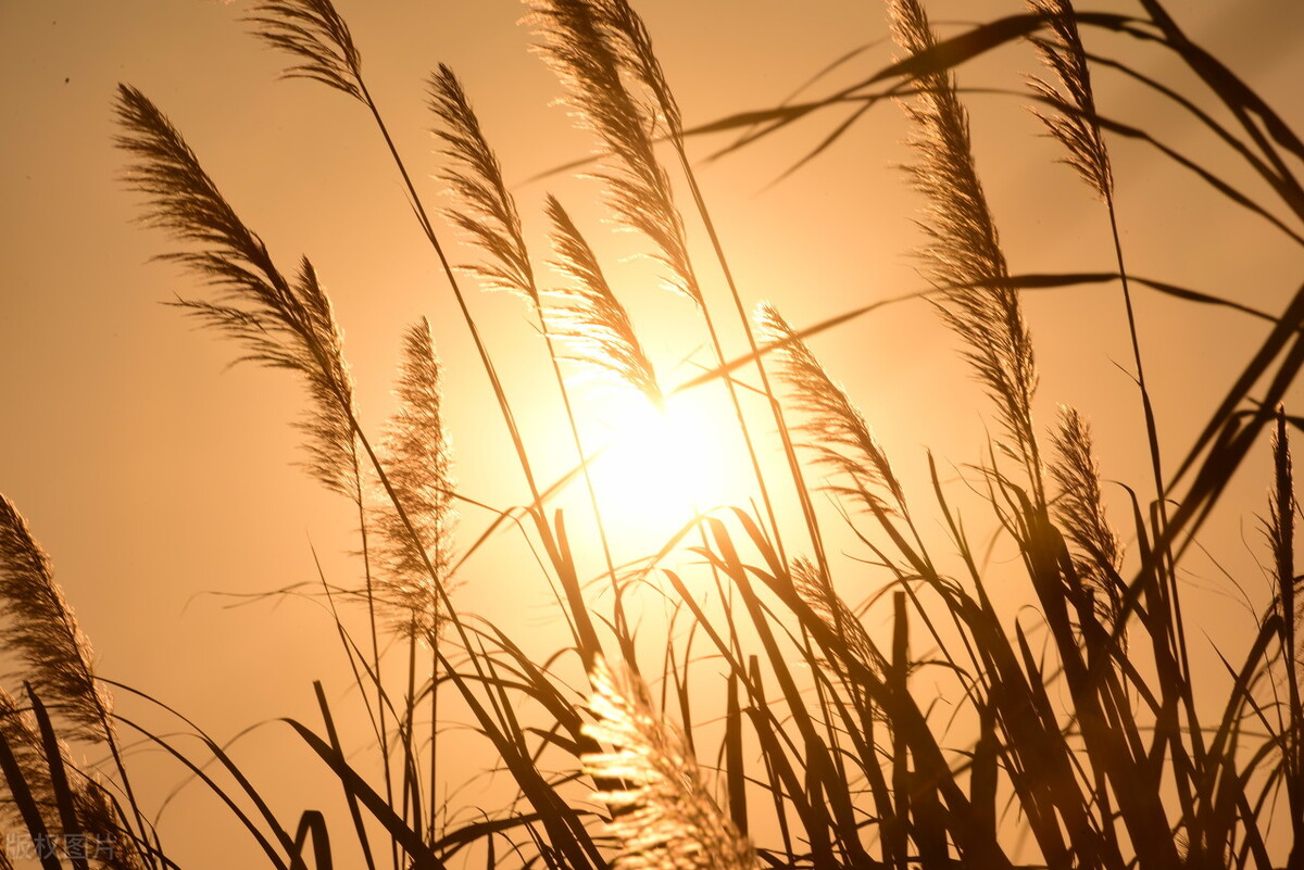 大学四年规划1000字（大学个人计划书范文800字）