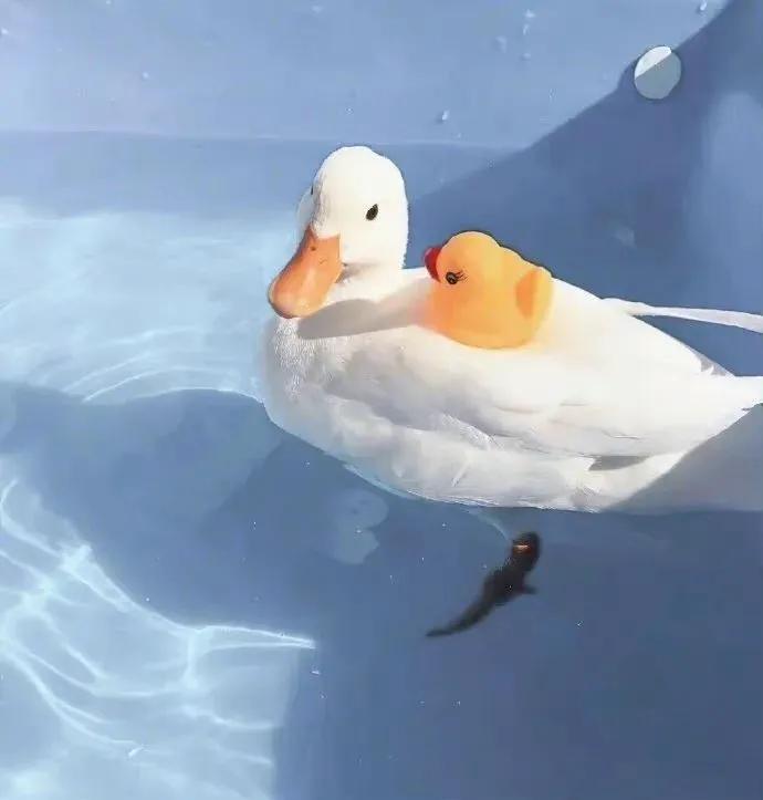 錢不是靠辛苦工作賺到的，三個妙招讓賺錢變得更加“高級”