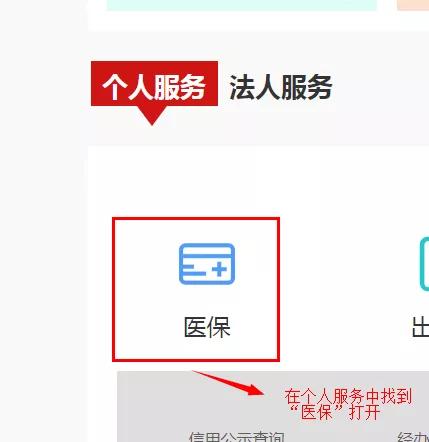 农村医疗保险查询,农村医疗保险查询个人账户