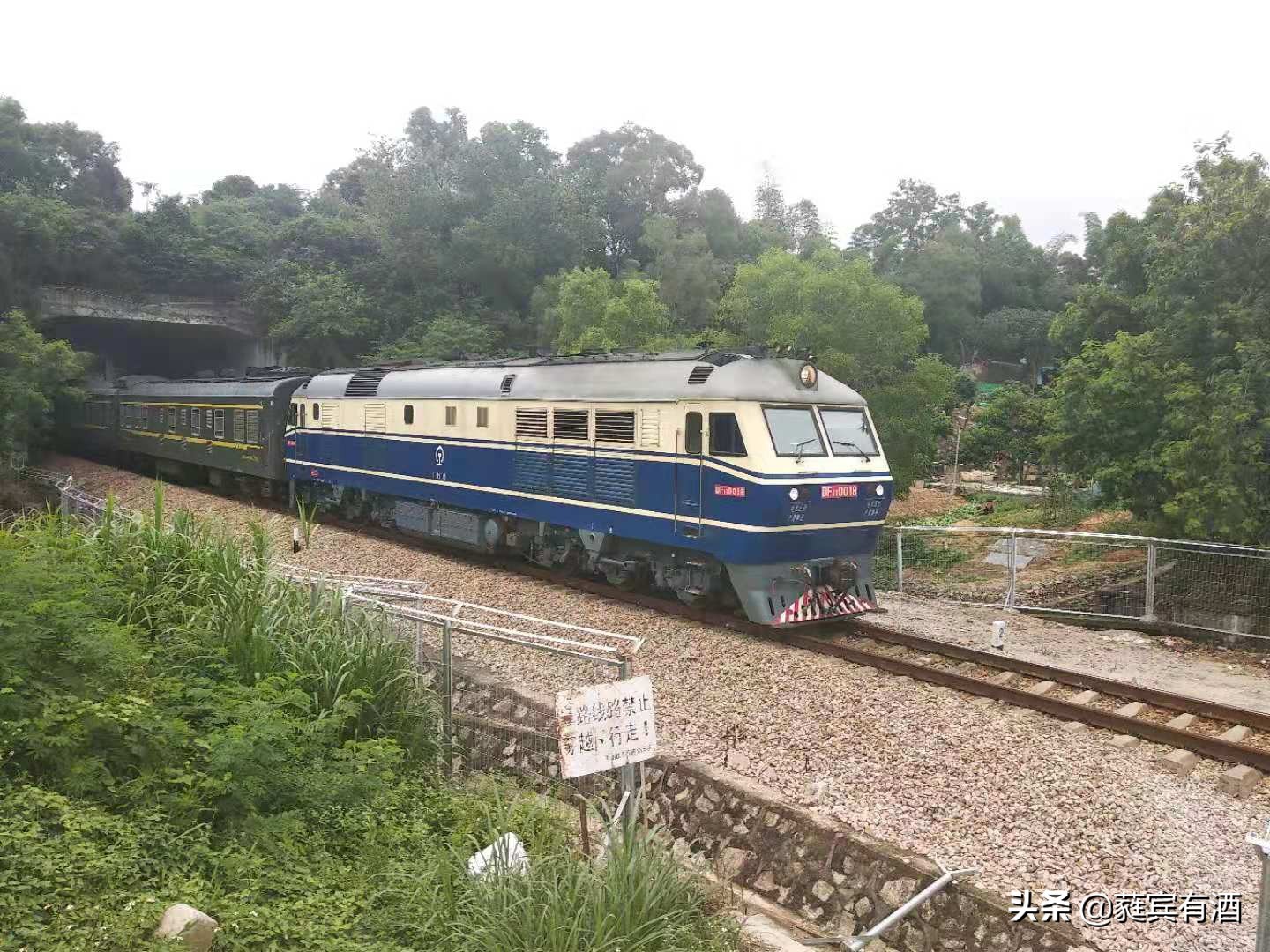 火車票一開售就“賣完”顯示無票的真相