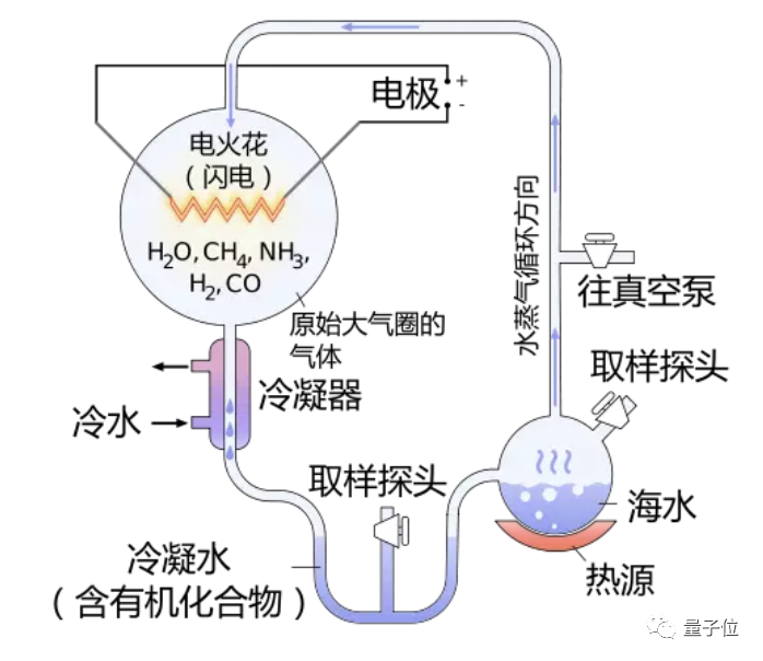 “地球外存在生命之源”上热搜，外星发现氨基酸到底有什么用？