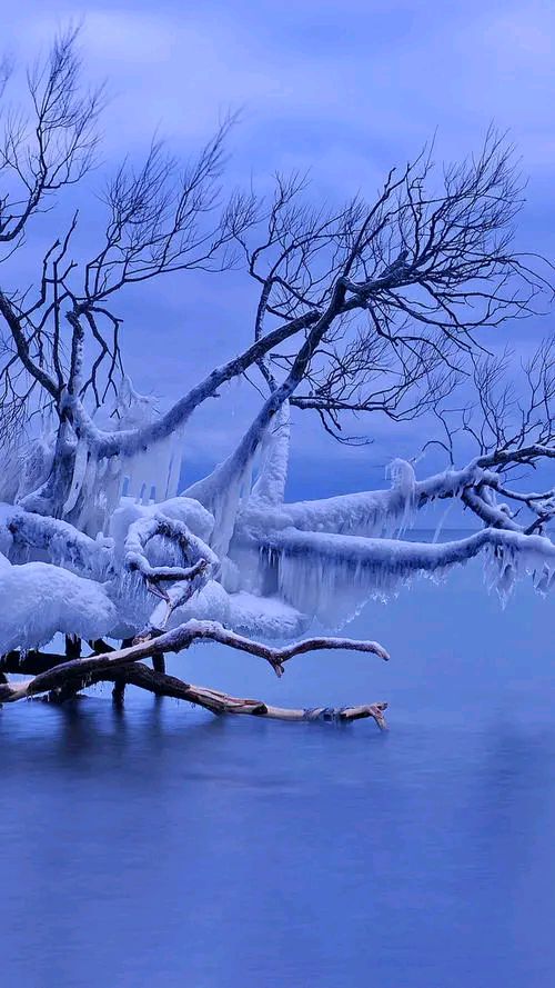 散文:岁末将至,敬颂雪的记忆