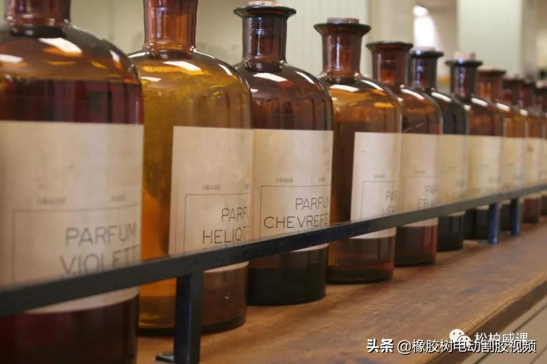 情人节礼物送什么礼物好（情人节要送礼物吗）