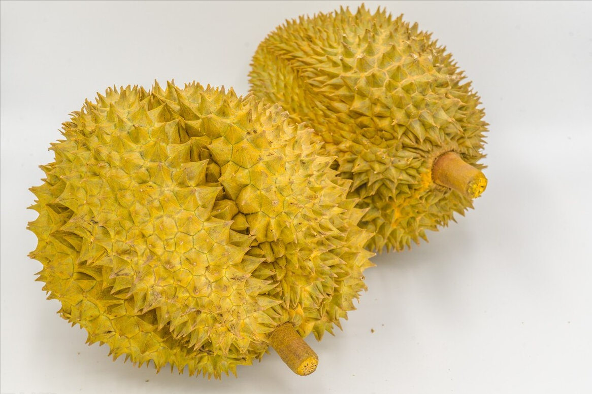 过年买榴莲,长刺短刺哪种好?果农教您5招,皮薄肉多,软糯香甜