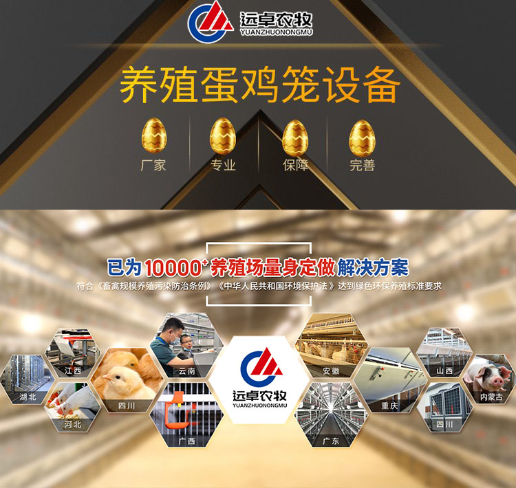 使用远卓农牧蛋鸡笼养鸡，鸡舍需注意的几个关键点