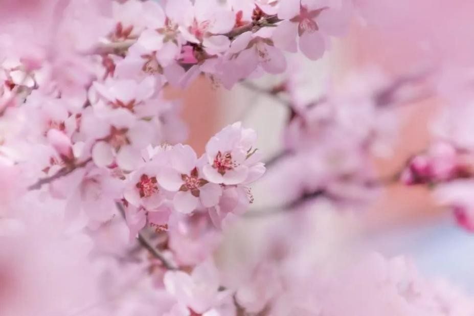 多图预警！兰大最美“校花”心动来袭，颜值超高，简直太惊艳！