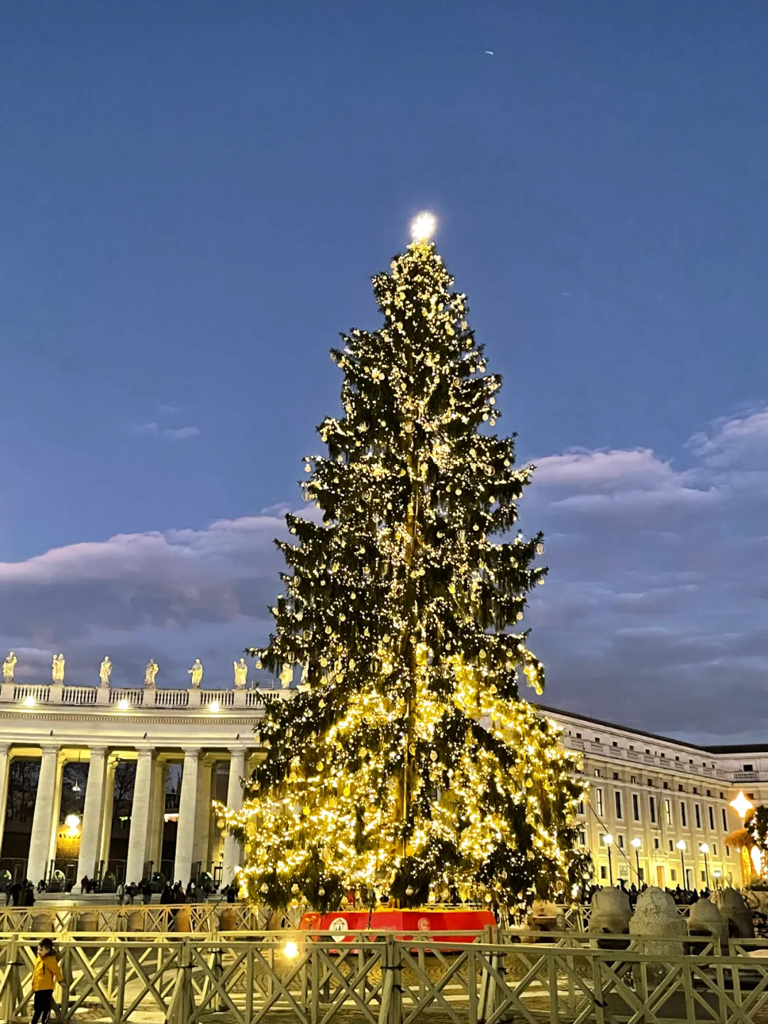 人在罗马一大,研一在读,已经找到工作了