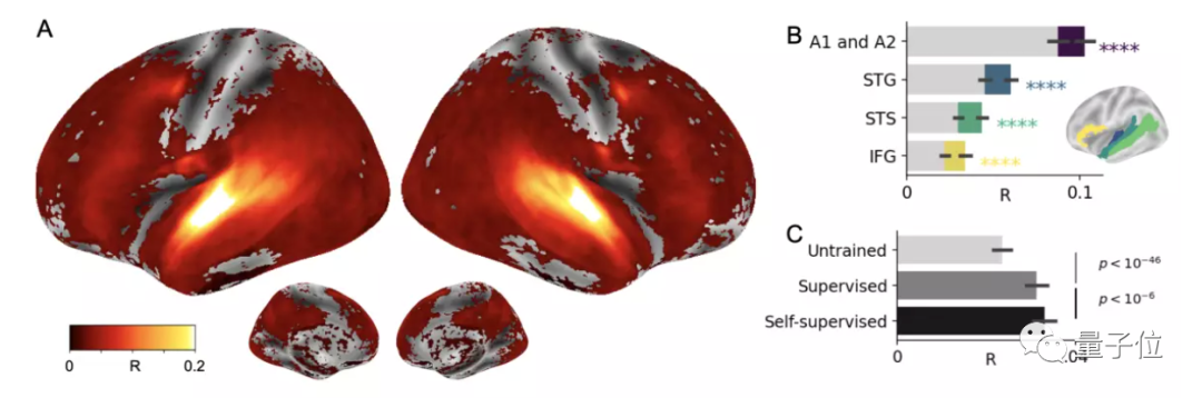 AI越进化越跟人类大脑像！Meta找到了机器的“前额叶皮层”