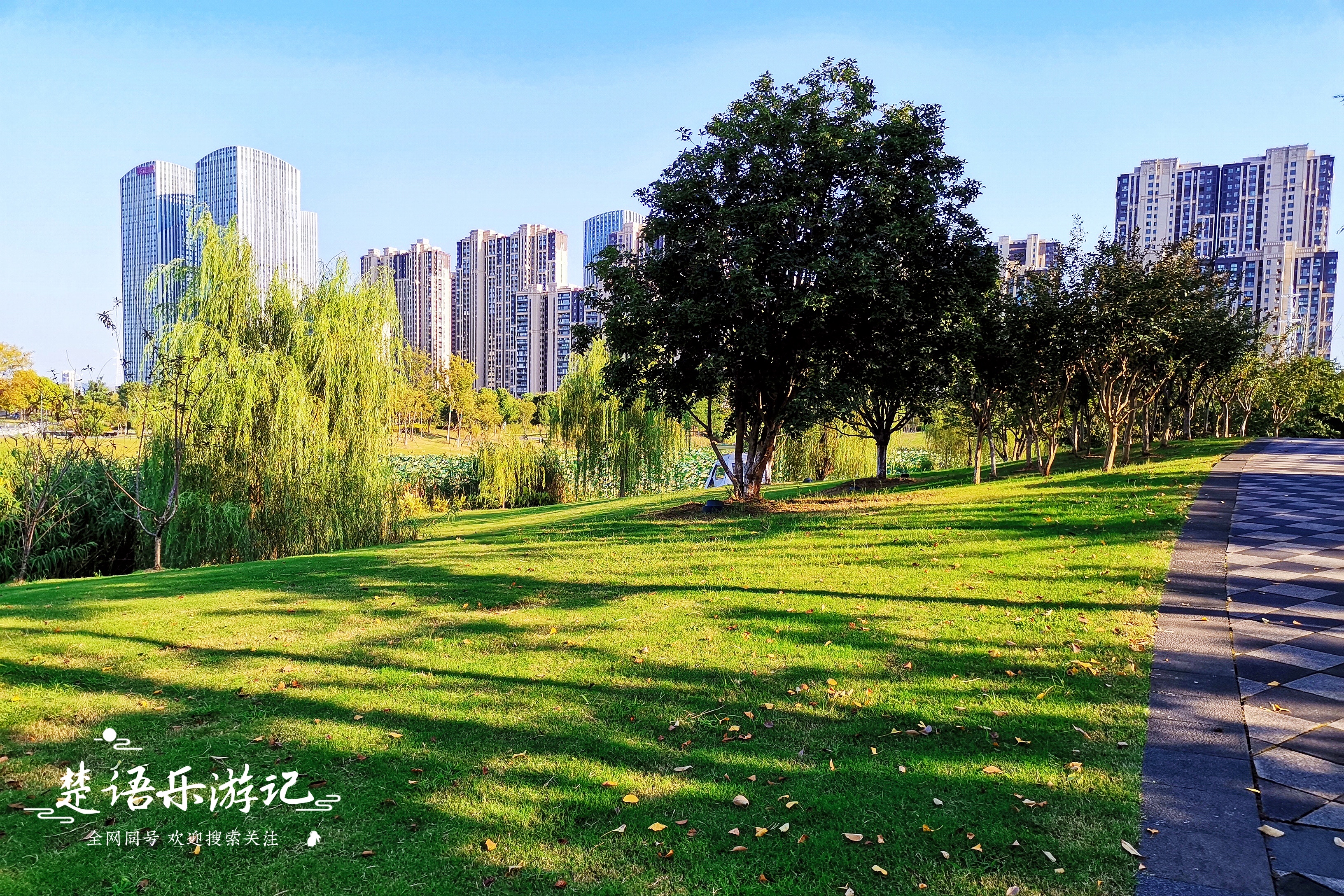 南京夏天适合玩的地方(南京夏天适合玩的地方推荐)