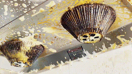 90���������С�����������һ��Ӫ��70��