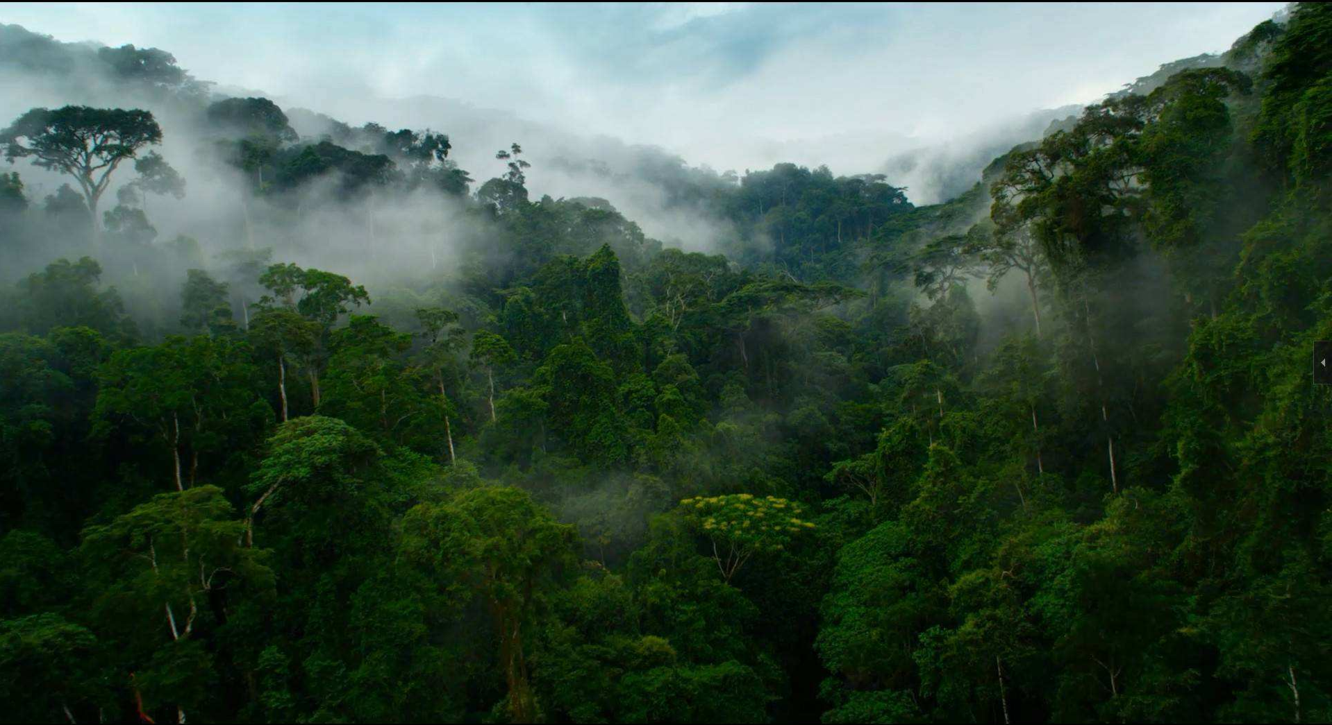 йֲ̻ˮԴȱѧңȿһѷ