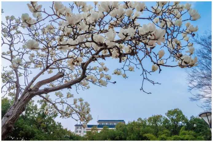 高清大图来袭！湖北高校“最美校花”新鲜出炉！颜值超高，惊艳众人！