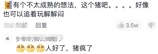 吉林白医专封校，校领导给学生买十几头活猪，各专业学生调侃走红