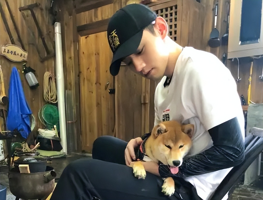 《向往的生活》张继科参加的是哪一期？他为啥带走一只小狗？