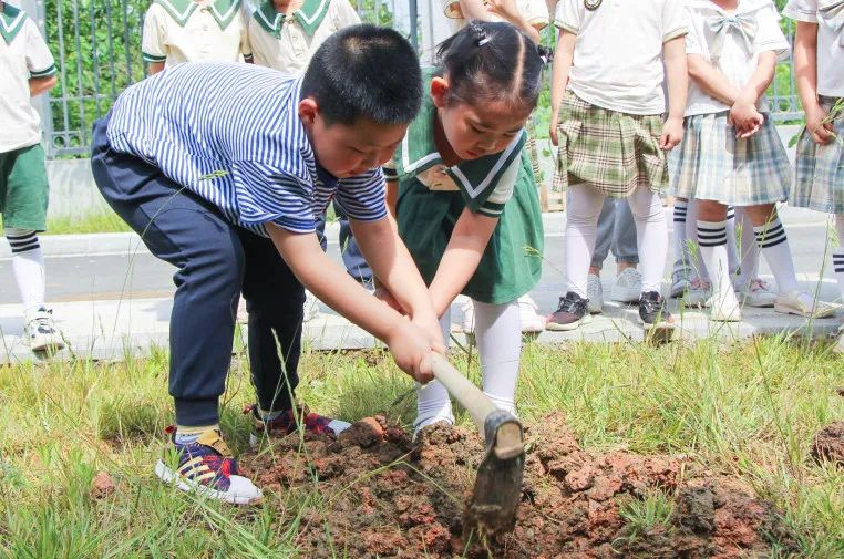 成都市双流区黄甲小学携手黄甲幼儿园开展手拉手幼小衔接活动