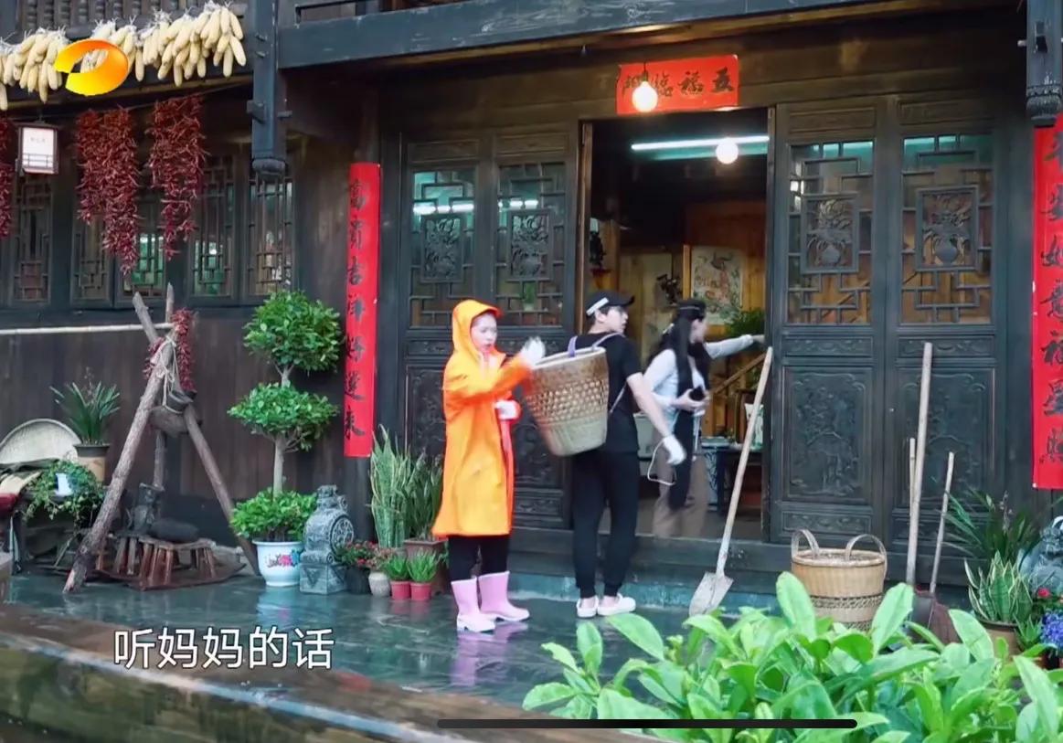 张柏芝节目里好啰嗦，但是我超级喜欢