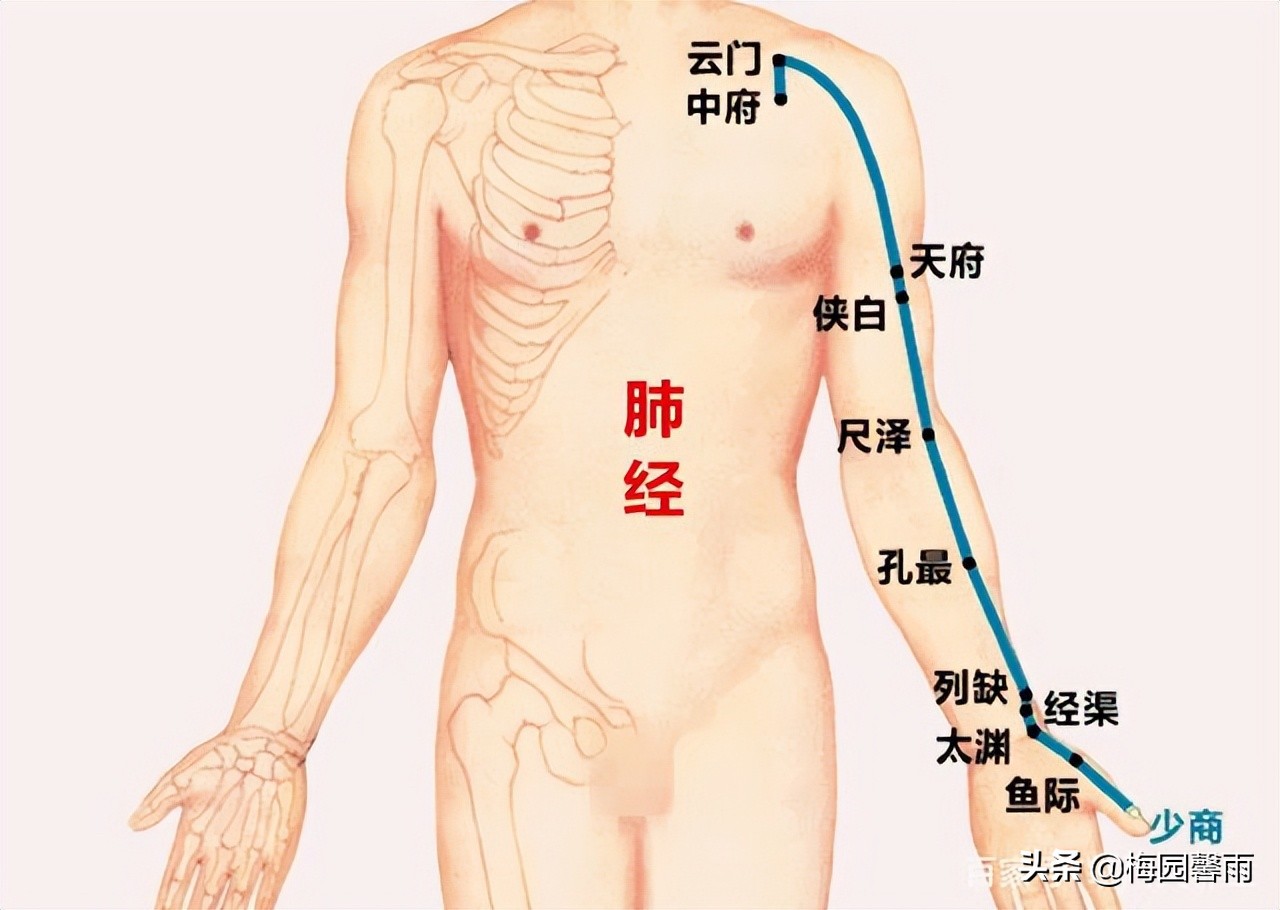 养肺即养命，肺好人长寿——6种养肺护肺之法