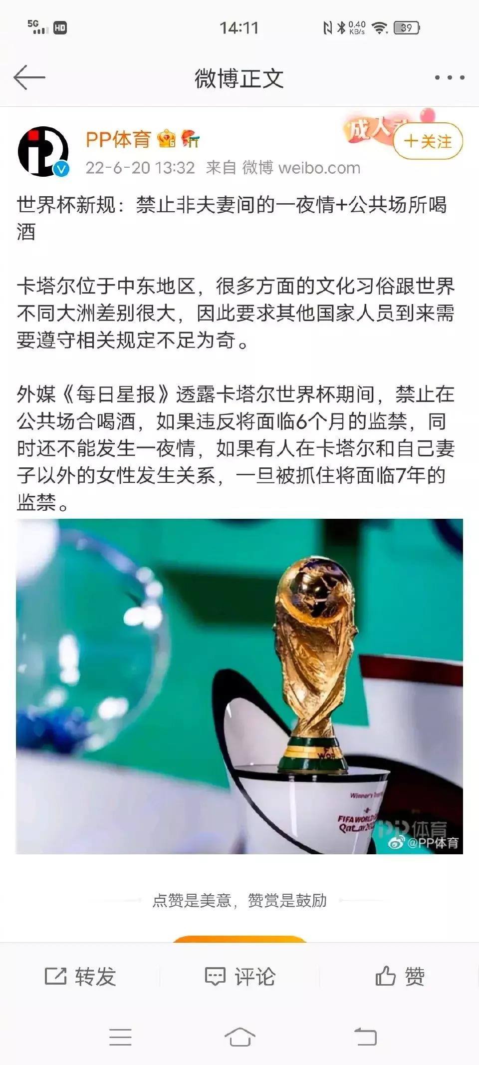 为什么围观世界杯不能屏蔽(卡塔尔世界杯：禁止喝酒，禁止球迷与球员发生一夜情或嫖娼)