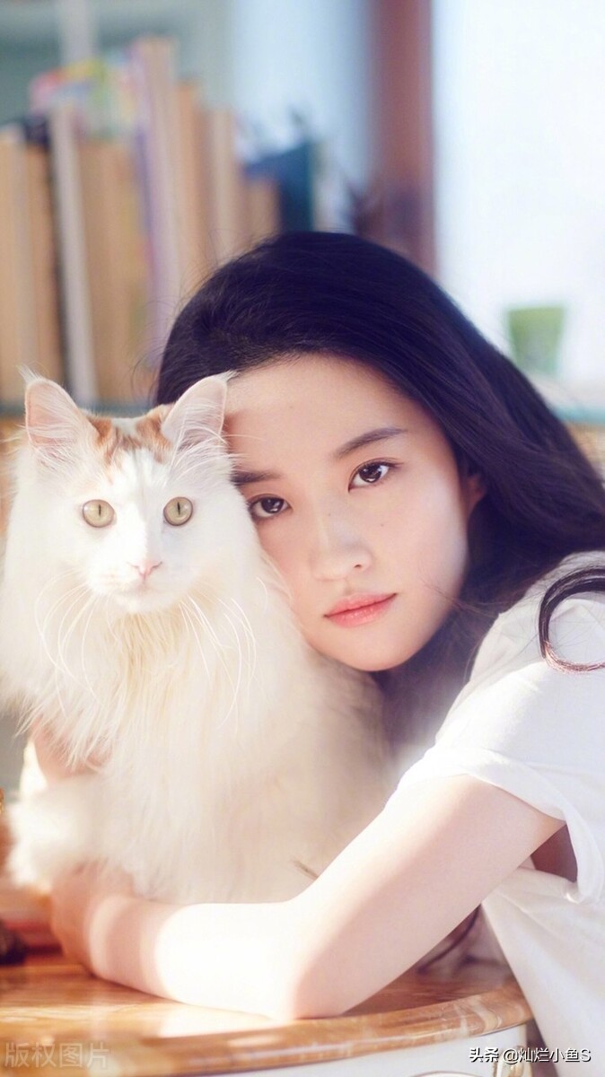 当明星有多累？累在哪里？了解一下你就知道了