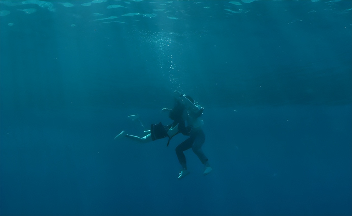 首日播放量破3700万，全程刷屏，笑出腹肌，《反转人生》凭什么？