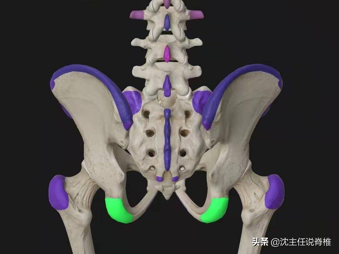 腰臀或下肢痛，是腰肌劳损、腰突症吗？不一定，还有这些原因