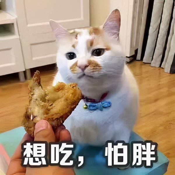 减肥人必囤的4款主食，低卡轻热量，当作晚餐正合适，吃饱还能瘦