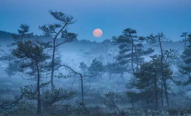 长大后才发现难忘的事不一定是快乐的，很可能充满了无奈