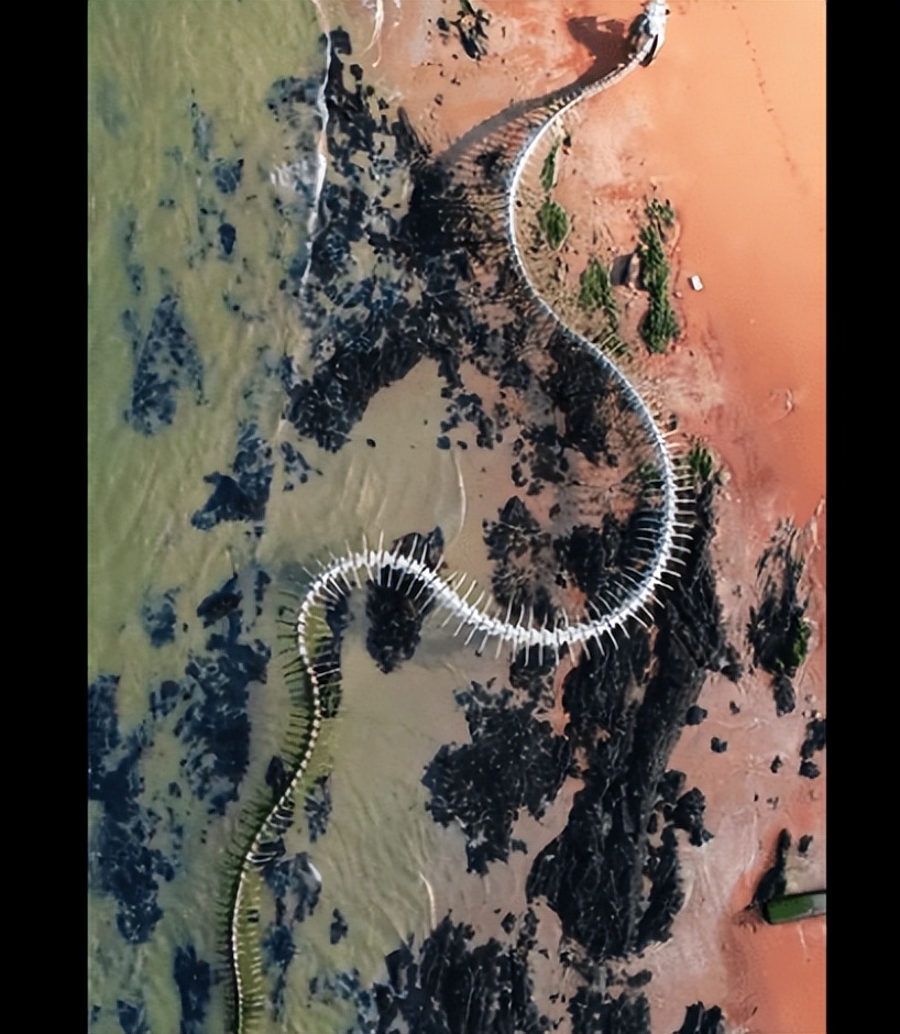 法国谷歌地图上发现30米巨蛇骨架，网友怀疑是泰坦蟒，真相是什么