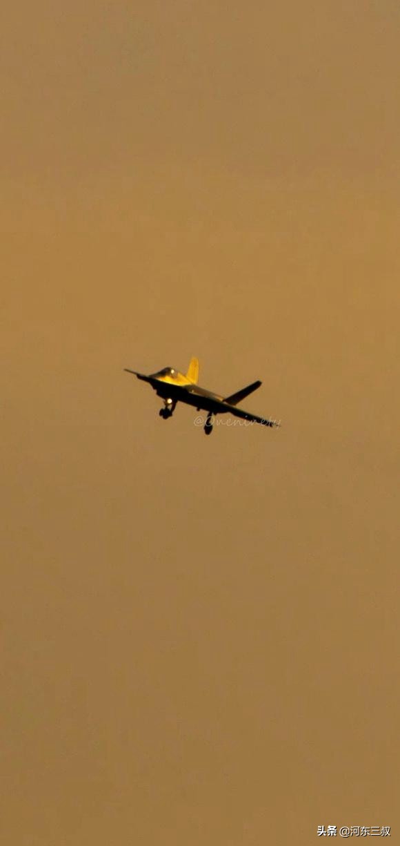 ���Գ��ʽ𣬵���֦ɢҶ�����FC31����ӥ������15���ճ�����