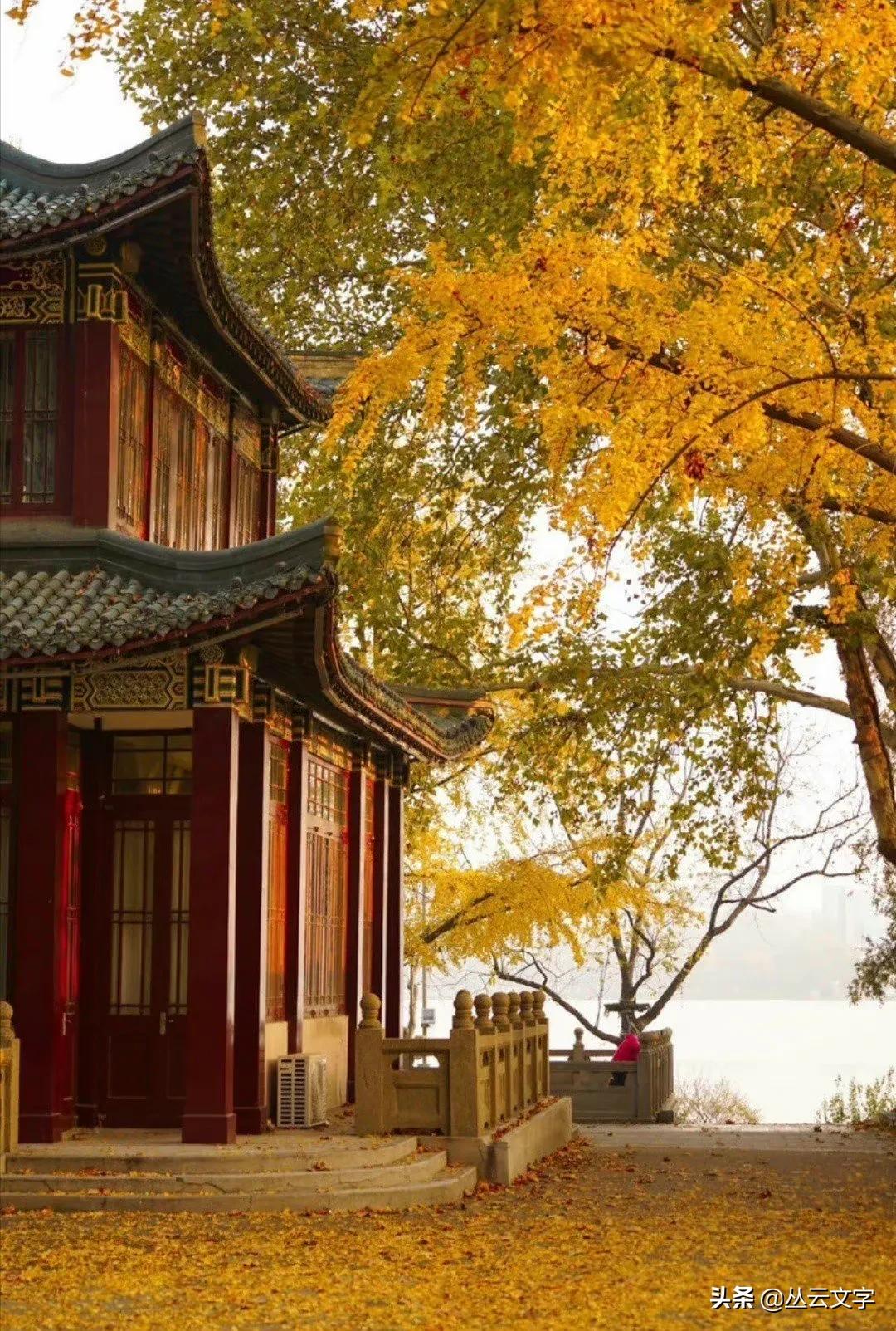中国四大经典戏剧中流传千古的佳句：情不知所起，一往而深